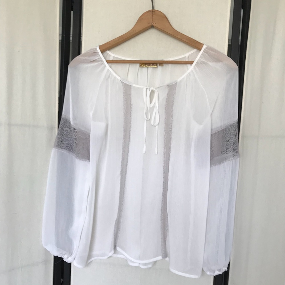 Sheer Peasant Blouse with Grey Lace Insets